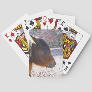 Baraja De Cartas Primer plano de caballo marrón, pequeño pony marró