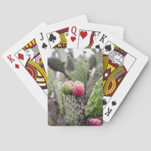 Baraja De Cartas Primer plano de cactus de pera espinosa