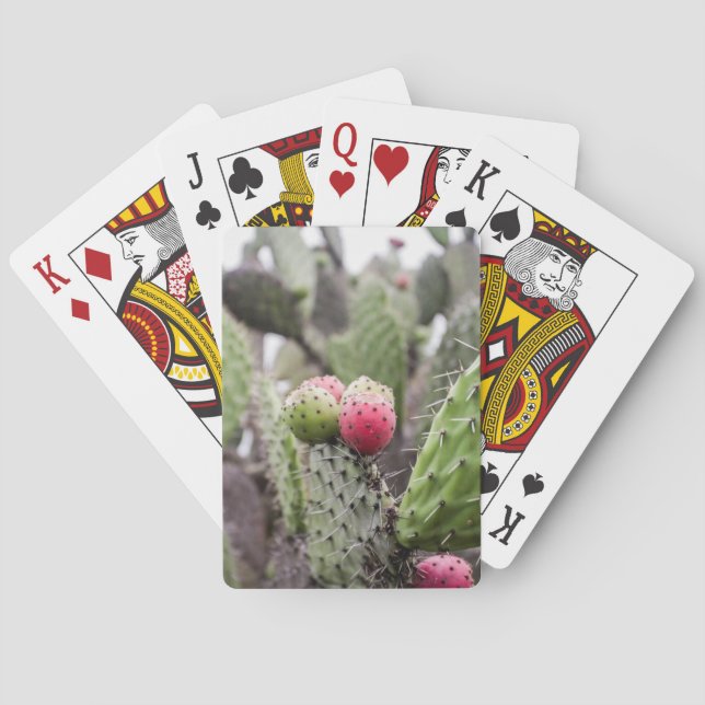 Baraja De Cartas Primer plano de cactus de pera espinosa (Reverso)