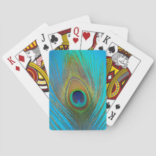 Baraja De Cartas Primer plano de pluma de pavo real
