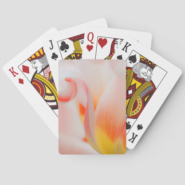 Baraja De Cartas Primer plano de tulipán 3 (Reverso)