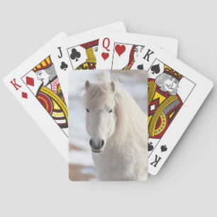 Baraja De Cartas Primer plano de un caballo islandés blanco