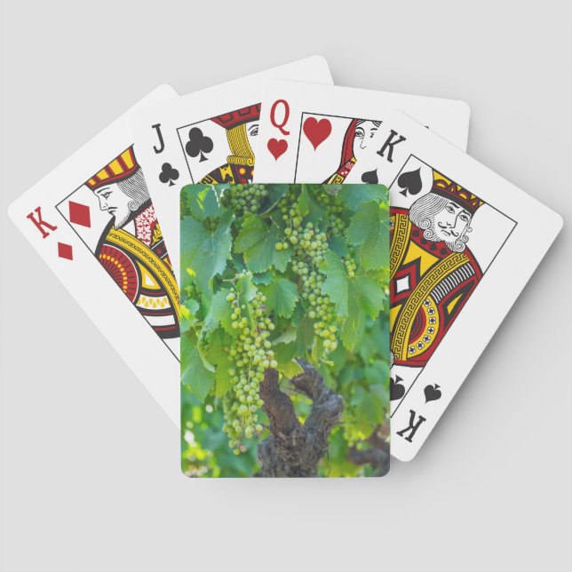 Baraja De Cartas Primer plano de uvas madurando (Reverso)