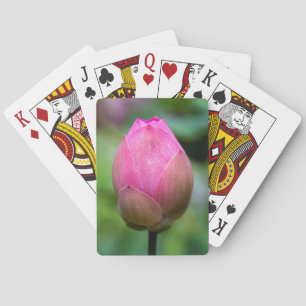 Baraja De Cartas Primer plano del capullo de flor de loto, Bali