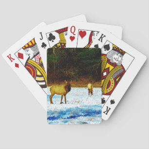 Baraja De Cartas Producto personalizar