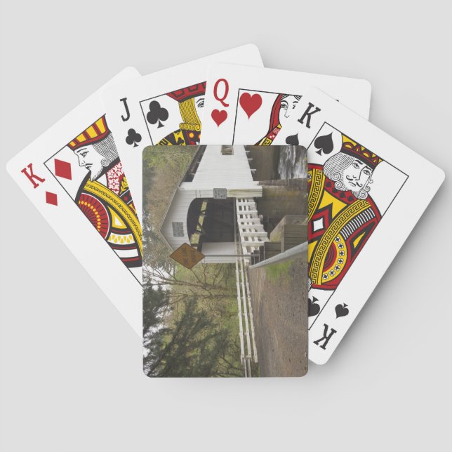 Baraja De Cartas Puente cubierto de gato silvestre, condado de Lane (Reverso)