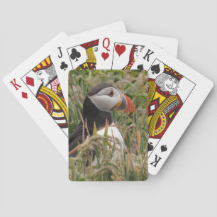 Baraja De Cartas Puffin in the Grass