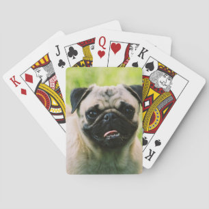 Baraja De Cartas pug-13