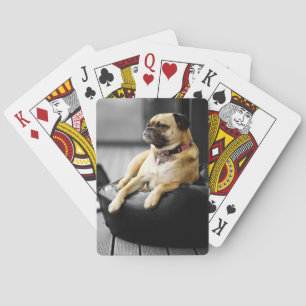 Baraja De Cartas Pug en reposo
