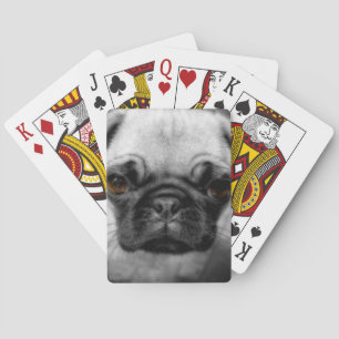 Baraja De Cartas Pug Pup