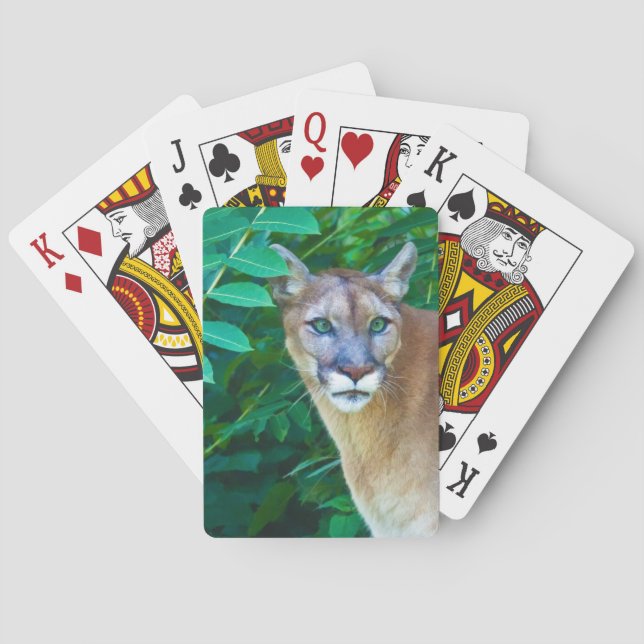 Baraja De Cartas Puma en la selva (Reverso)