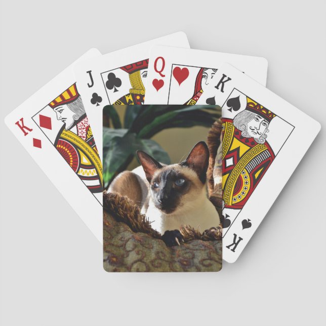 Baraja De Cartas Punto de foco: gato siamés sobre almohada mullida (Reverso)