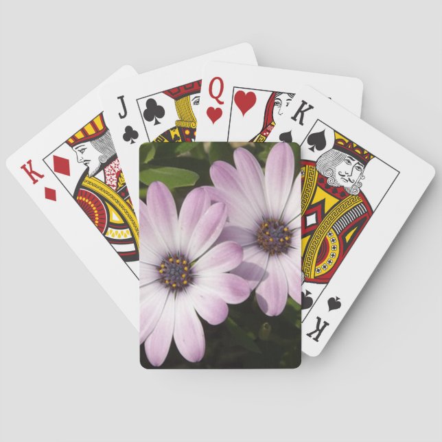Baraja De Cartas Purple Daisies (Reverso)