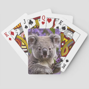 Baraja De Cartas Purple Jacaranda Koala Bear,