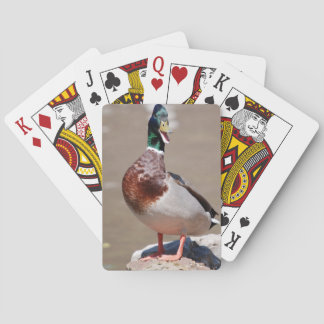 Baraja De Cartas Quacking Mallard Duck