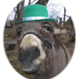 Baraja De Cartas "¿Qué estás mirando?"