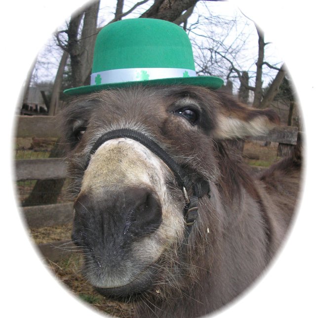 Baraja De Cartas "¿Qué estás mirando?" (Subido por el creador)