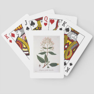 Baraja De Cartas Quino de "Phytographie Medicale" por el Ro de José