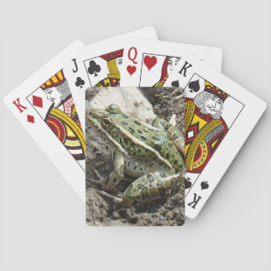 Baraja De Cartas R3 Rana Leopardo