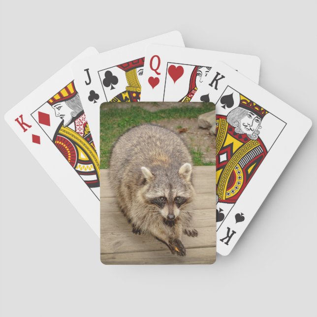 Baraja De Cartas Raccoon con chip (Reverso)