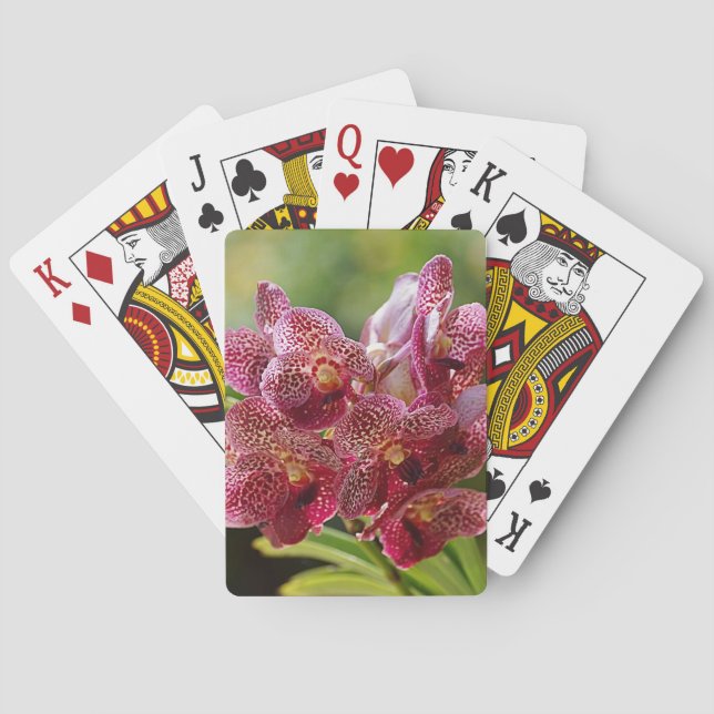 Baraja De Cartas Racimo tropical de la orquídea de Vanda (Reverso)