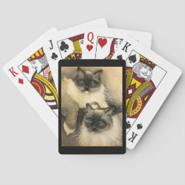 Baraja De Cartas Ragdoll Cats