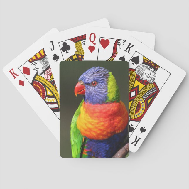 Baraja De Cartas Rainbow Lorikeet (Reverso)