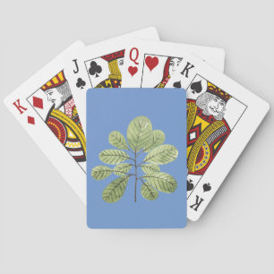 Baraja De Cartas Ramas de hojas Follaje de plantas Flora
