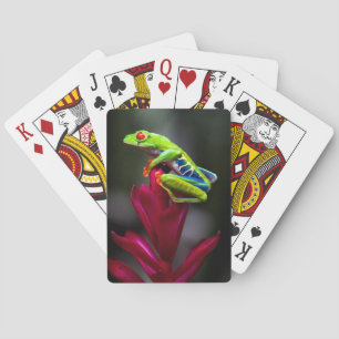 Baraja De Cartas Rana de ojos rojos