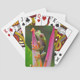 Baraja De Cartas Rana de ojos rojos, Costa Rica