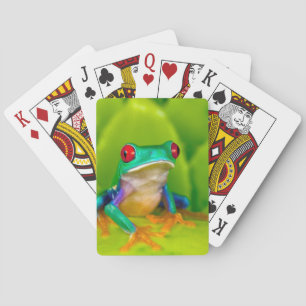 Baraja De Cartas Rana de ojos rojos, Costa Rica