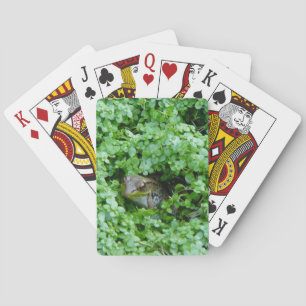 Baraja De Cartas Rana en trébol