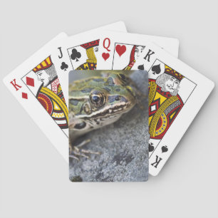 Baraja De Cartas rana leopardo norteña, Isla Transparente,