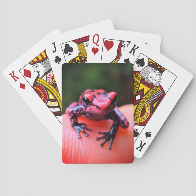Baraja De Cartas Rana pequeña (Reverso)