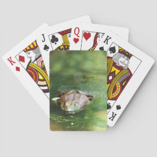 Baraja De Cartas Rana toro