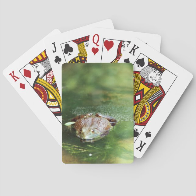 Baraja De Cartas Rana toro (Reverso)
