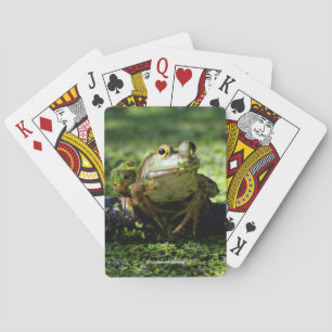 Baraja De Cartas Rana verde suave golpea la manguera