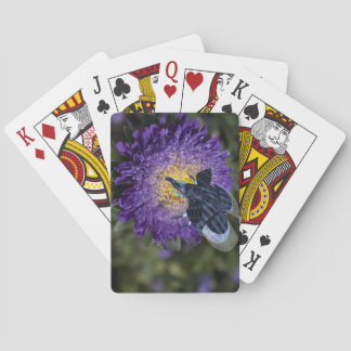 Baraja De Cartas Rara bicho de elefante azul