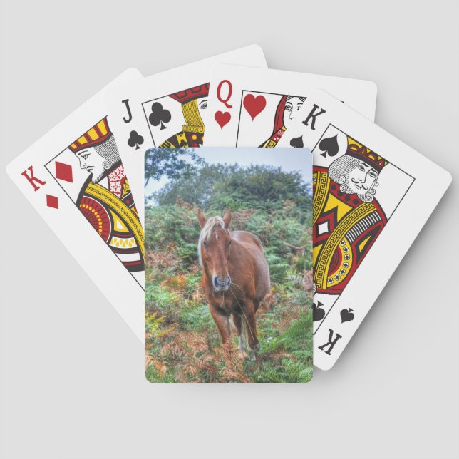 Baraja De Cartas Rara Palomino New Forest Pony & Bracken - Inglater (Reverso)