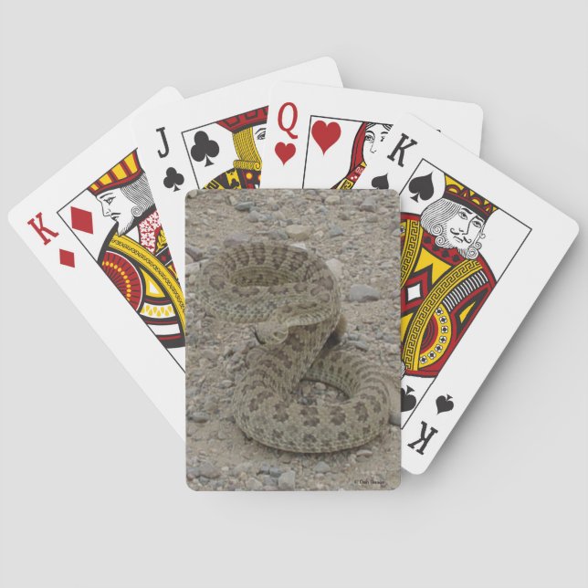 Baraja De Cartas Rattlesnake R9 (Reverso)