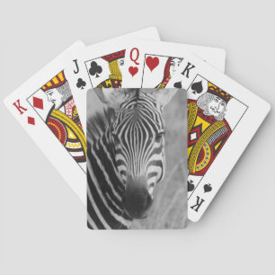 Baraja De Cartas Rayas con clase africanas lindas del safari de la