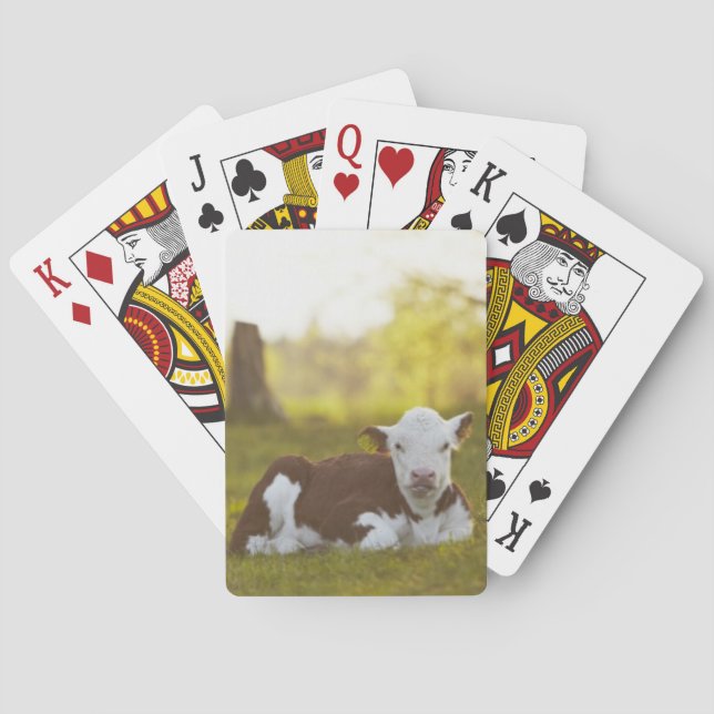 Baraja De Cartas Reclinación del becerro (Reverso)