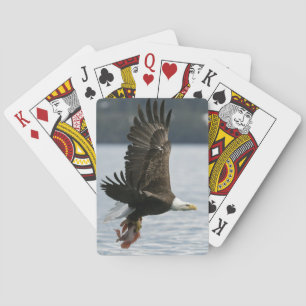 Baraja De Cartas Recuperación de peces de águila calva