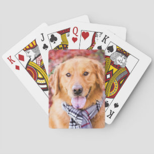 Baraja De Cartas Recuperador de oro en escarcha