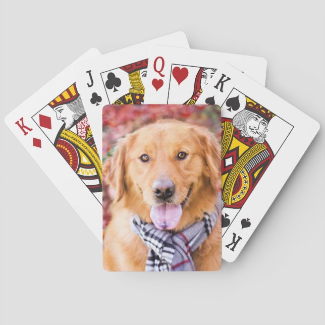 Baraja De Cartas Recuperador de oro en escarcha (Reverso)