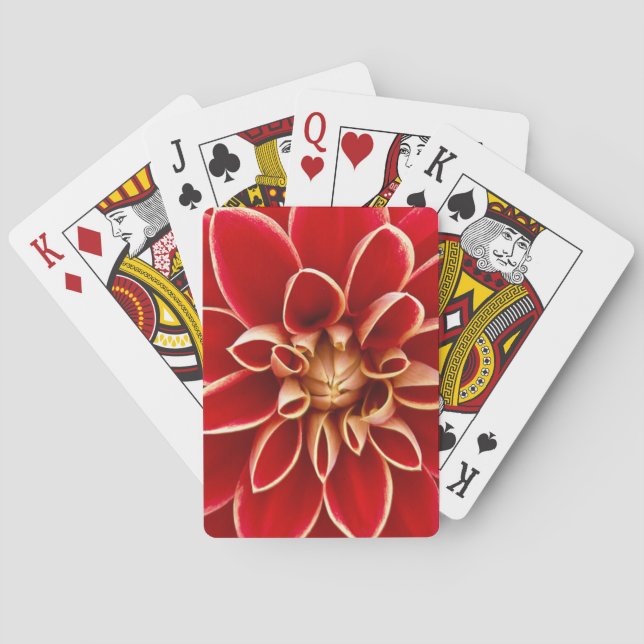 Baraja De Cartas Red Dahlia (Reverso)