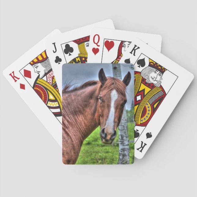 Baraja De Cartas Red Dun Ranch Horse Mare Animal lover Photo (Reverso)