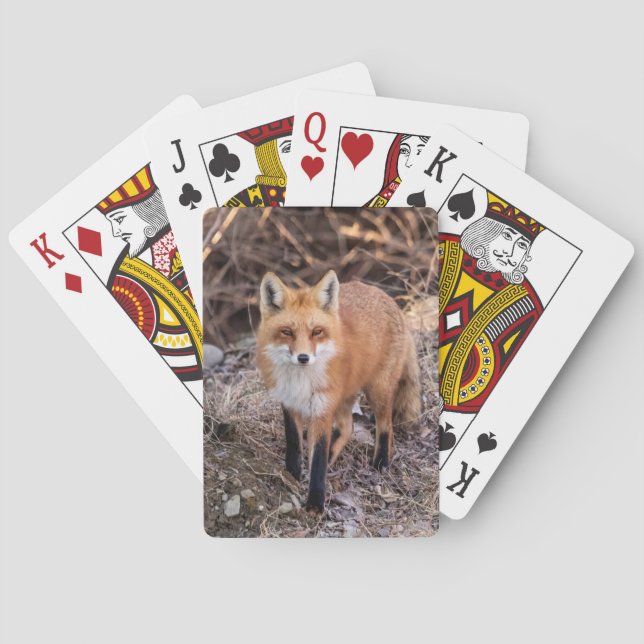 Baraja De Cartas Red Fox cerca y personal (Reverso)