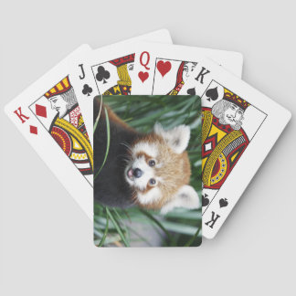 Baraja De Cartas Red Panda Playing Cards