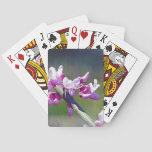 Baraja De Cartas RedBud